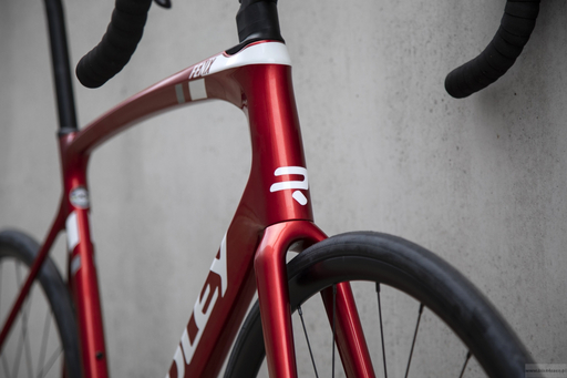 Road frameset RIDLEY FENIX DISC - color FEN-01Bs (Candy Red Metallic-White-Battleship Grey)