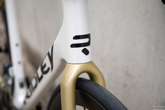 Road bicycle RIDLEY FENIX SLiC - Rival eTap AXS 2x12s - color FSD-30Bs (Pearl White-Gold-Black)