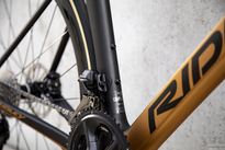 Rower szosowy RIDLEY NOAH FAST DISC - 105 Di2 2x12s - kolor NFD-03Am (Black Metallic-Honey Gold Metallic)